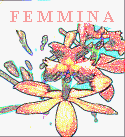 femmina1.htm_txt_Button2.gif (10348 bytes)